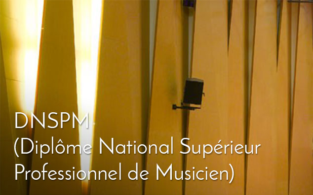 DNSPM (Diplôme National Supérieur Professionnel de Musicien)